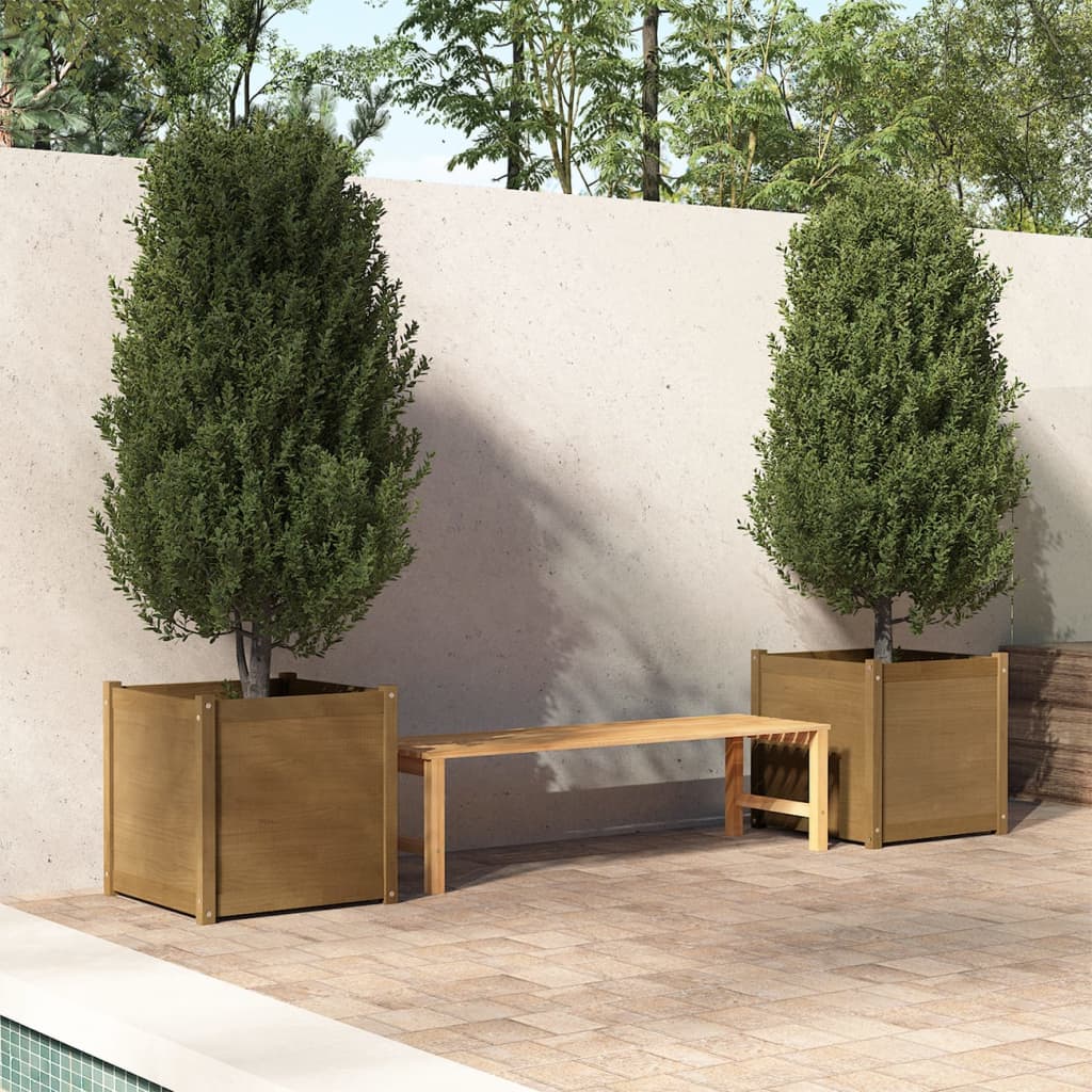 vidaXL Vaso/floreira jardim 2 pcs 60x60x60cm pinho maciço castanho mel