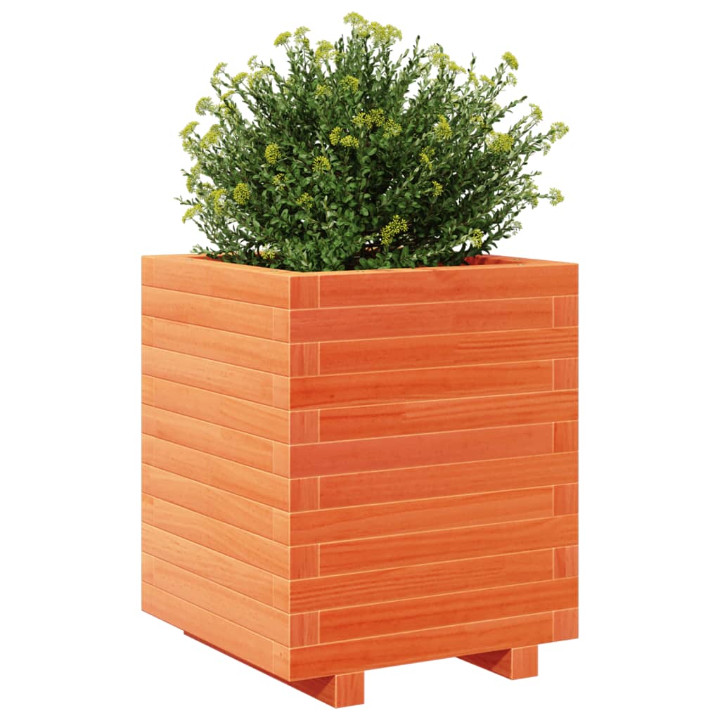 vidaXL Vaso/floreira de jardim 40x40x49,5cm pinho maciço castanho mel