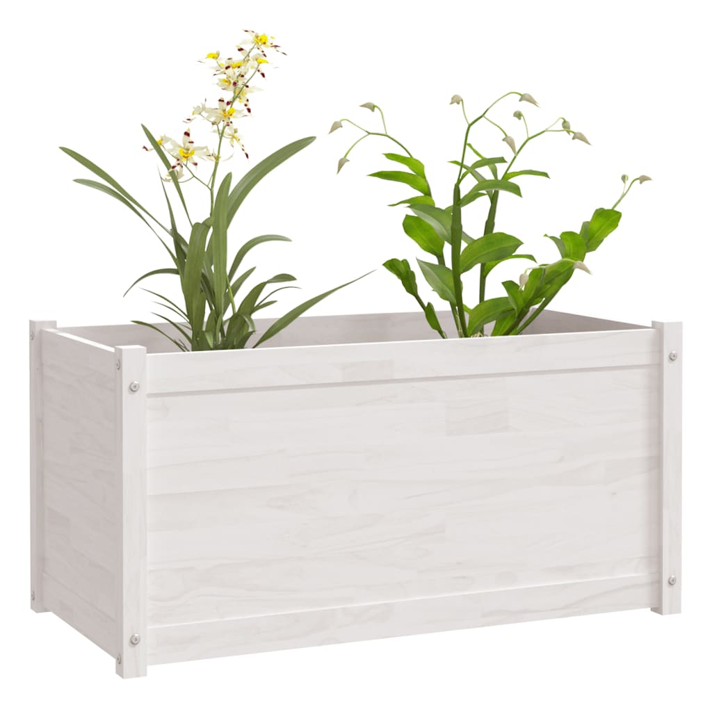 vidaXL Vasos/floreiras de jardim 2 pcs 100x50x50cm pinho maciço branco