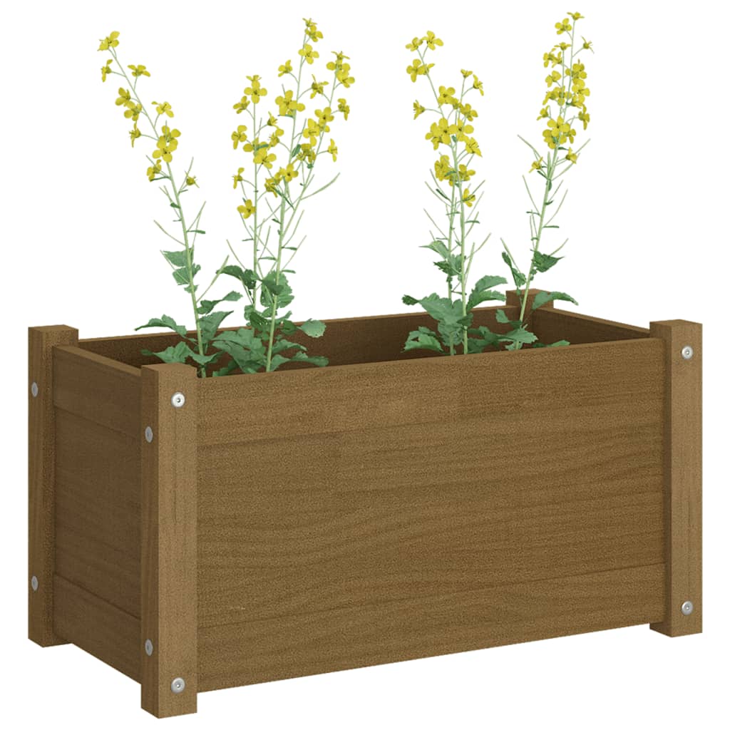 vidaXL Vaso/floreira de jardim 60x31x31 cm pinho maciço castanho-mel