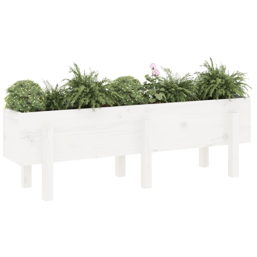 vidaXL Canteiro elevado de jardim 121x30x38 cm pinho maciço branco