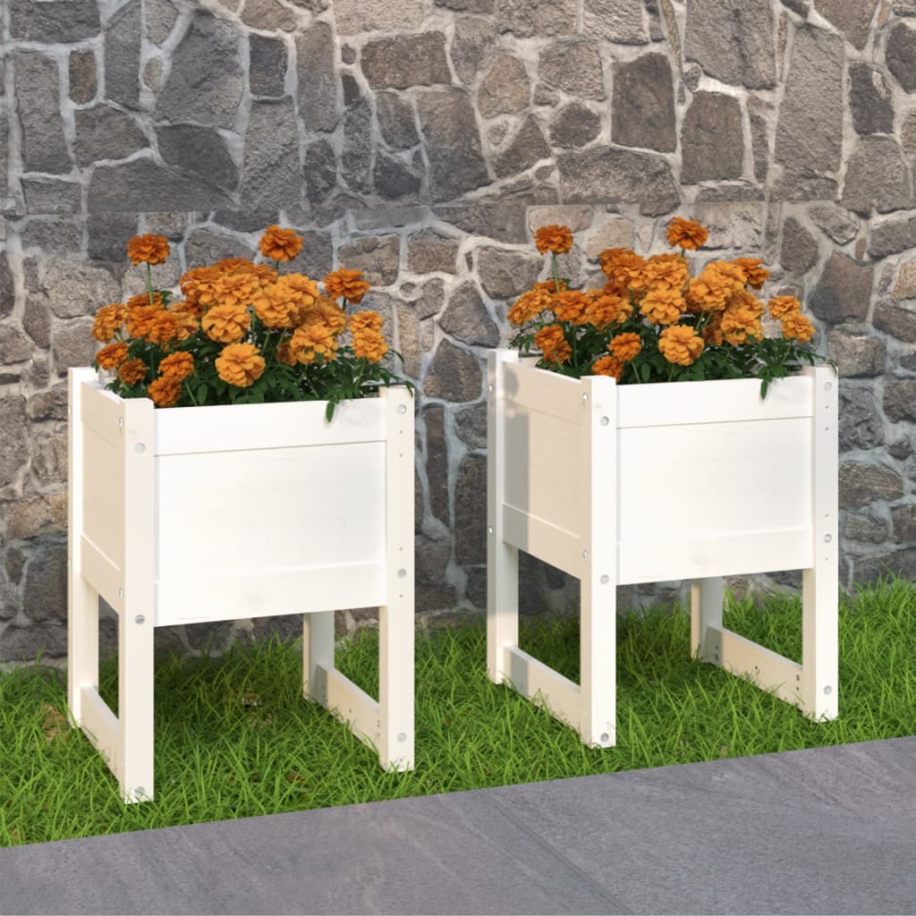 vidaXL Vasos/floreiras 2 pcs 40x40x52,5 cm pinho maciço branco