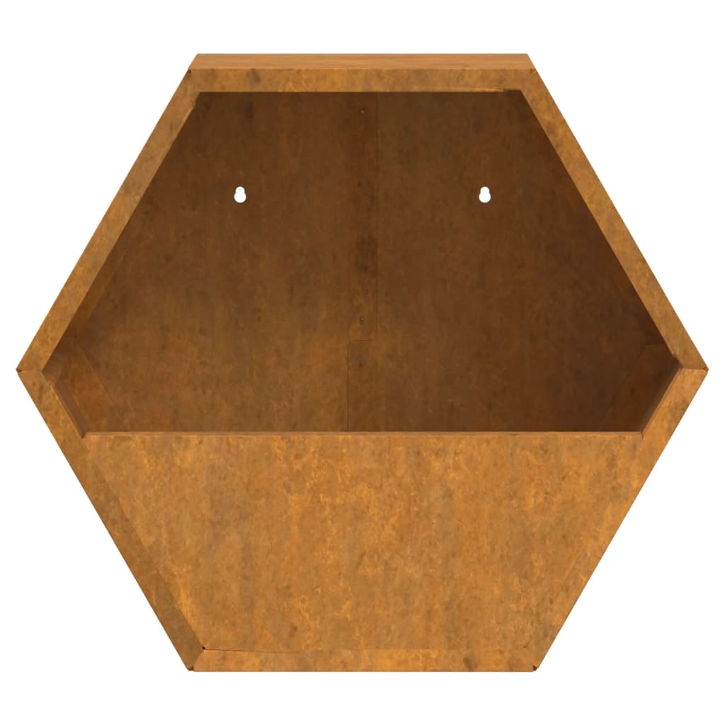 vidaXL Vasos/floreiras de parede 2 pcs aço corten cor enferrujado