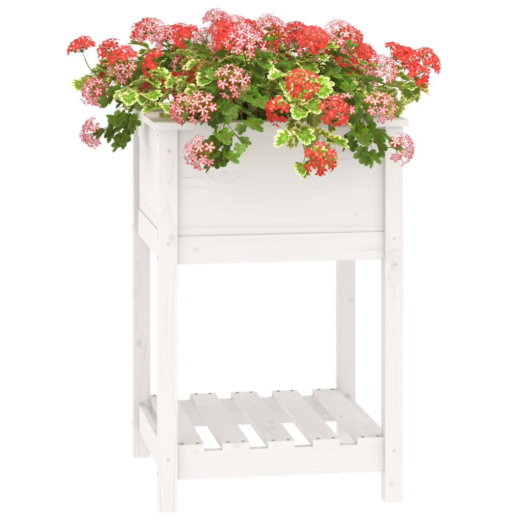 vidaXL Vaso/floreira com prateleira 54x54x81 cm pinho maciço branco