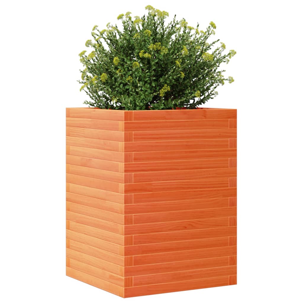 vidaXL Vaso/floreira de jardim 50x50x68,5cm pinho maciço castanho mel