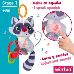Winfun|Peluche Chocalho Winfun Guaxinim 14,5 x 20 x 9,5 cm (6 Unidades)