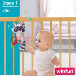 Winfun|Peluche Chocalho Winfun Guaxinim 14,5 x 20 x 9,5 cm (6 Unidades)