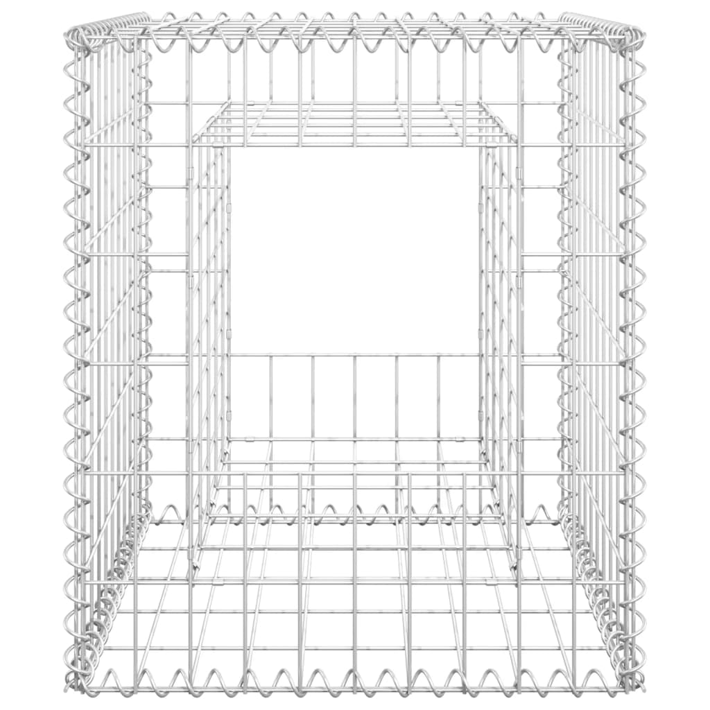 vidaXL Postes/cestos gabião 2 pcs 50x50x60 cm ferro