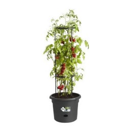 Vaso Elho Basics Tomato Preto (Ø 33 cm)