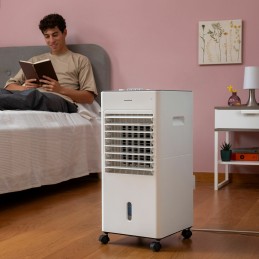 Climatizador por Evaporação Portátil Multifunções Airvecove InnovaGoods 5 L 65 W