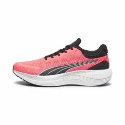 Champion|Sapatilhas de Running para Adultos Champion Champ 2K Low Cut Preto