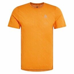 Puma|Camisola de Manga Curta Homem Puma M X Hyrox Tad T
