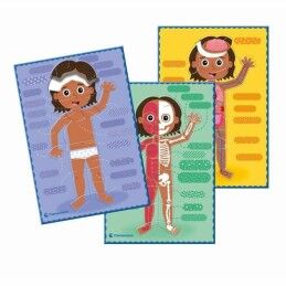 Clementoni|Jogo Educativo Clementoni Le Corps Humain (FR)