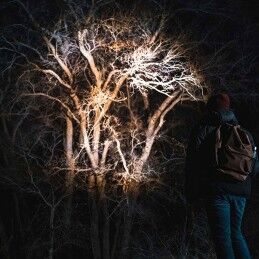 Nebo|Lanterna LED recarregável Nebo Davinci™ 1000 1000 Lm
