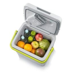 Severin|Mini frigorifico Severin TKB 2924 Verde 58 W