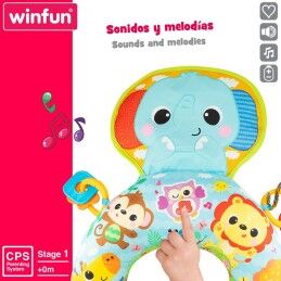 Winfun|Brinquedo musical Winfun 32 x 8,5 x 42 cm (2 Unidades) Almofada Guizo