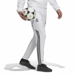 Calças de Treino de Futebol para Adultos Adidas Condivo Real Madrid 22 Branco Homem