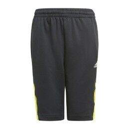 Ditchil|Leggings de Desporto de Mulher Ditchil Magny Azeitona