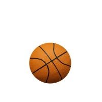 Bolas de basquete