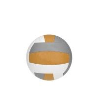 Voleibol
