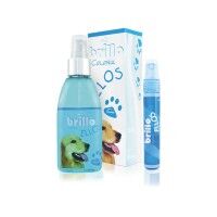 Perfumes para animais de estimação